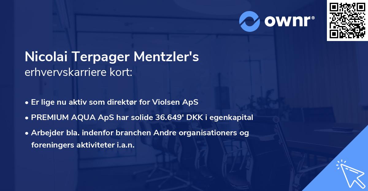 Nicolai Terpager Mentzler's erhvervskarriere kort