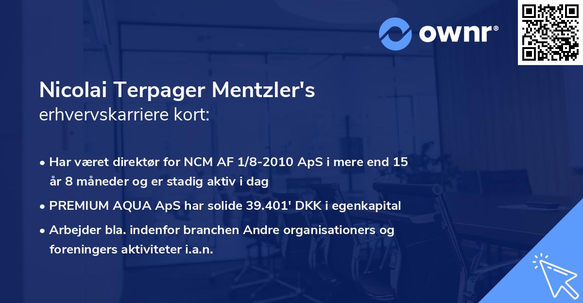Nicolai Terpager Mentzler's erhvervskarriere kort