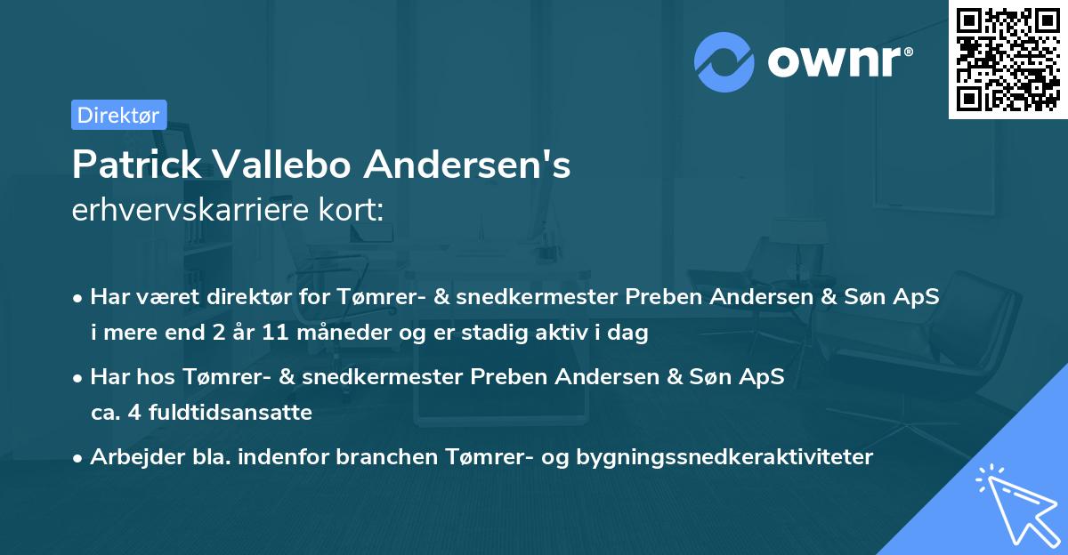 Patrick Vallebo Andersen's erhvervskarriere kort