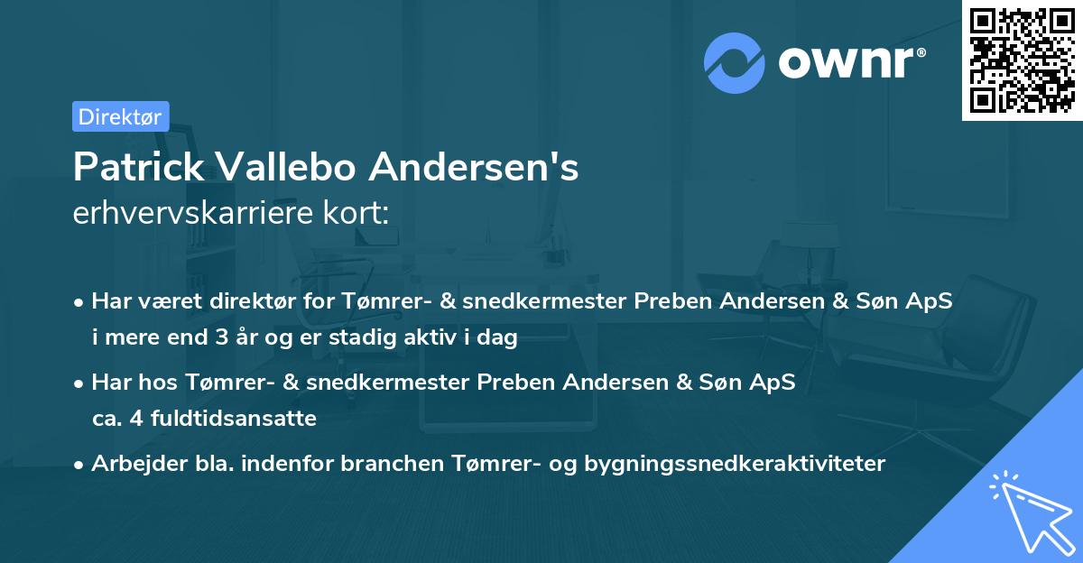 Patrick Vallebo Andersen's erhvervskarriere kort