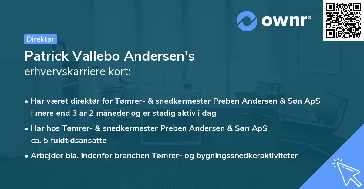 Patrick Vallebo Andersen's erhvervskarriere kort