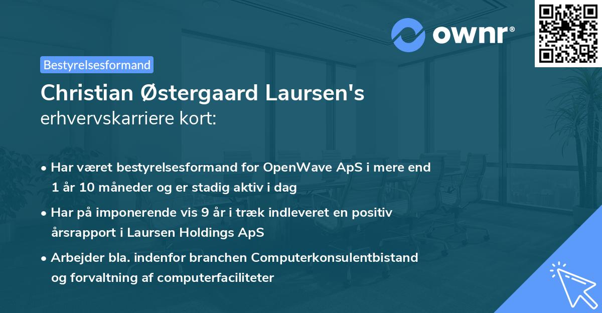 Christian Østergaard Laursen's erhvervskarriere kort