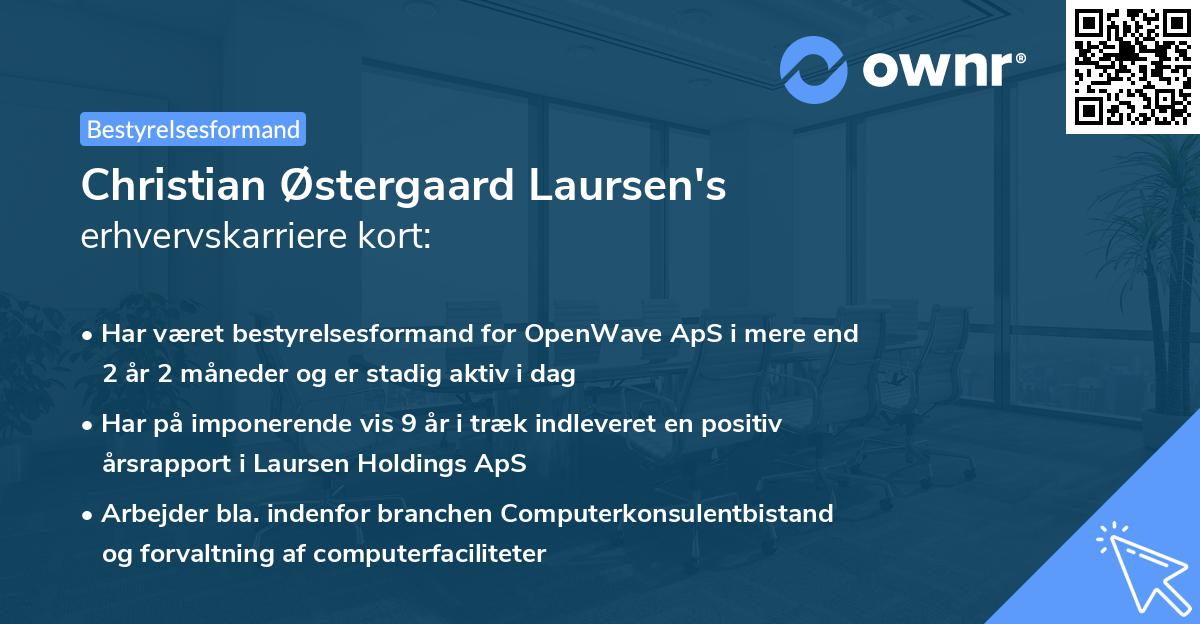 Christian Østergaard Laursen's erhvervskarriere kort