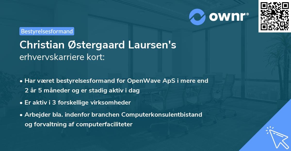 Christian Østergaard Laursen's erhvervskarriere kort