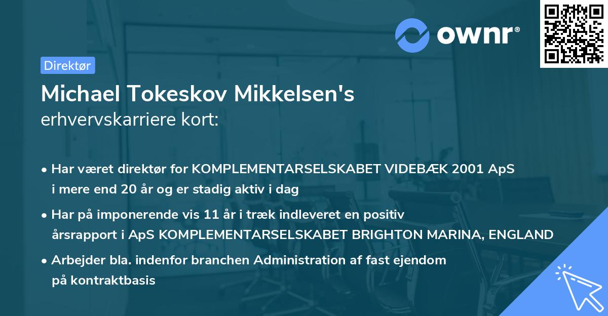 Michael Tokeskov Mikkelsen's erhvervskarriere kort