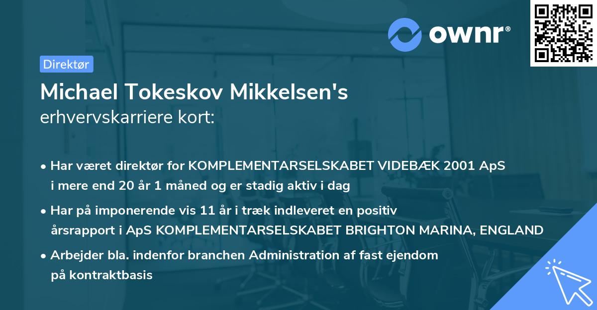Michael Tokeskov Mikkelsen's erhvervskarriere kort