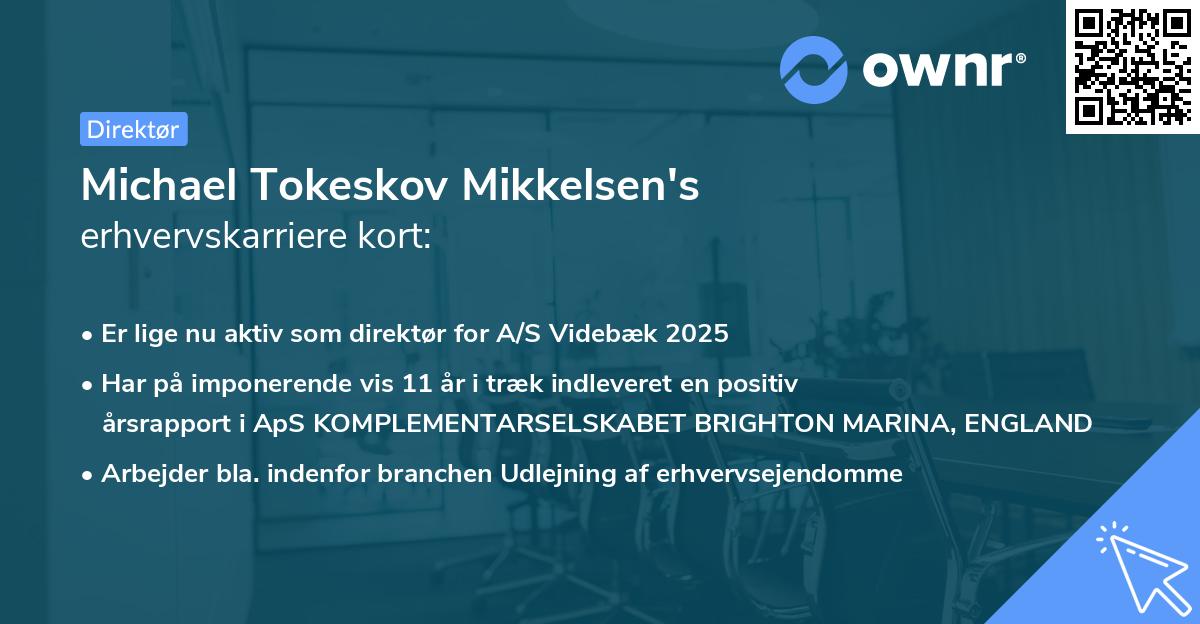 Michael Tokeskov Mikkelsen's erhvervskarriere kort
