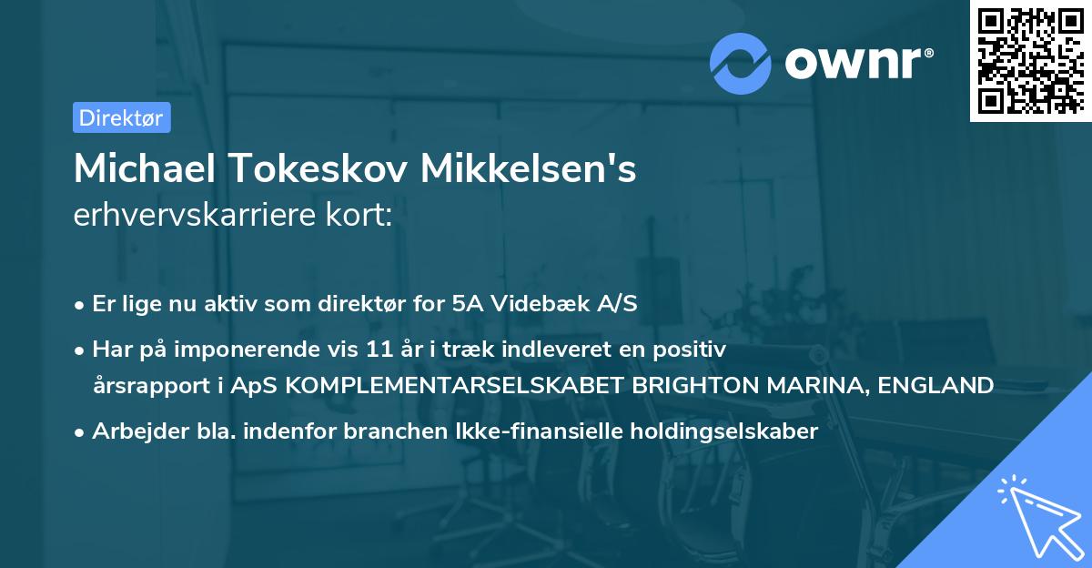 Michael Tokeskov Mikkelsen's erhvervskarriere kort