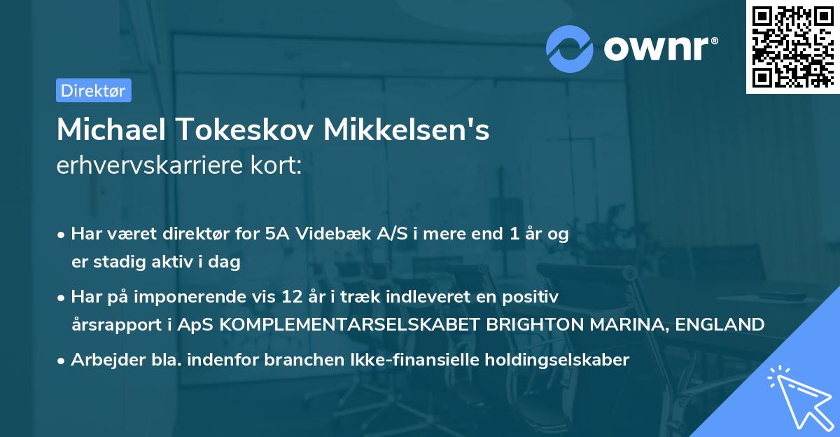Michael Tokeskov Mikkelsen's erhvervskarriere kort