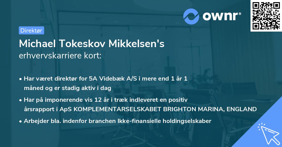 Michael Tokeskov Mikkelsen's erhvervskarriere kort