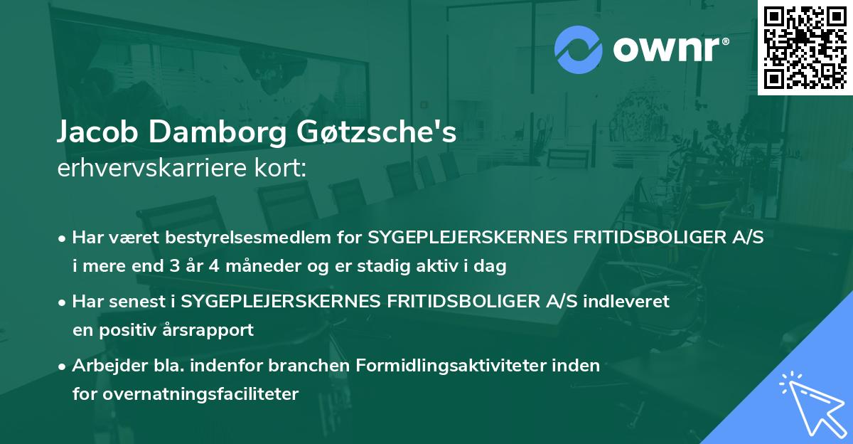 Jacob Damborg Gøtzsche's erhvervskarriere kort