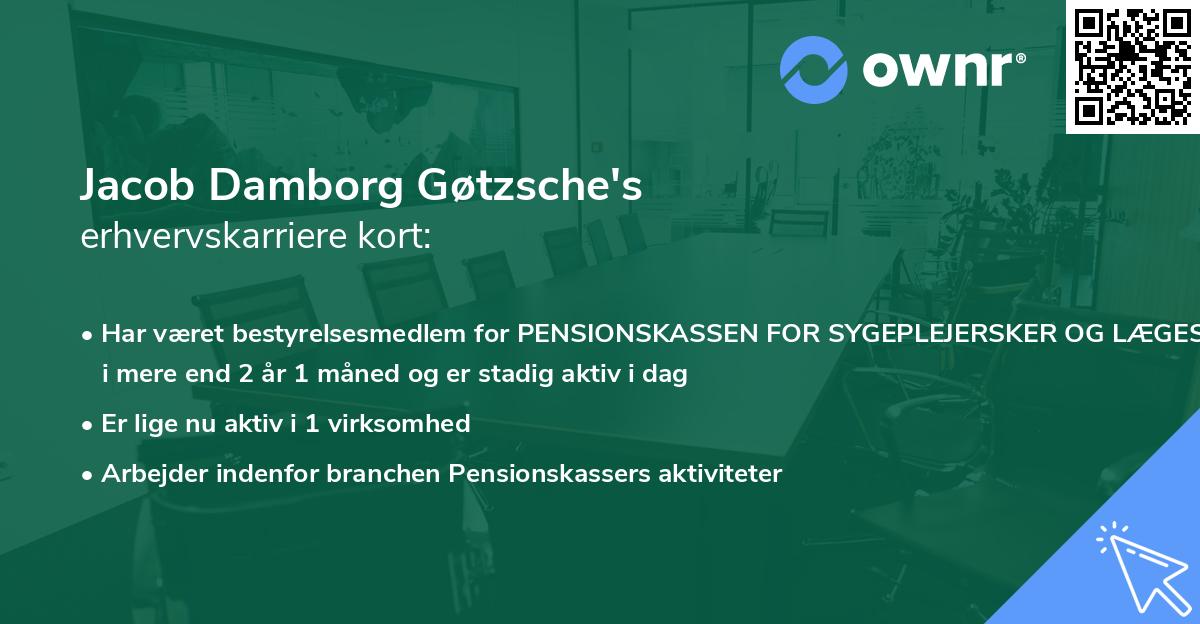 Jacob Damborg Gøtzsche's erhvervskarriere kort