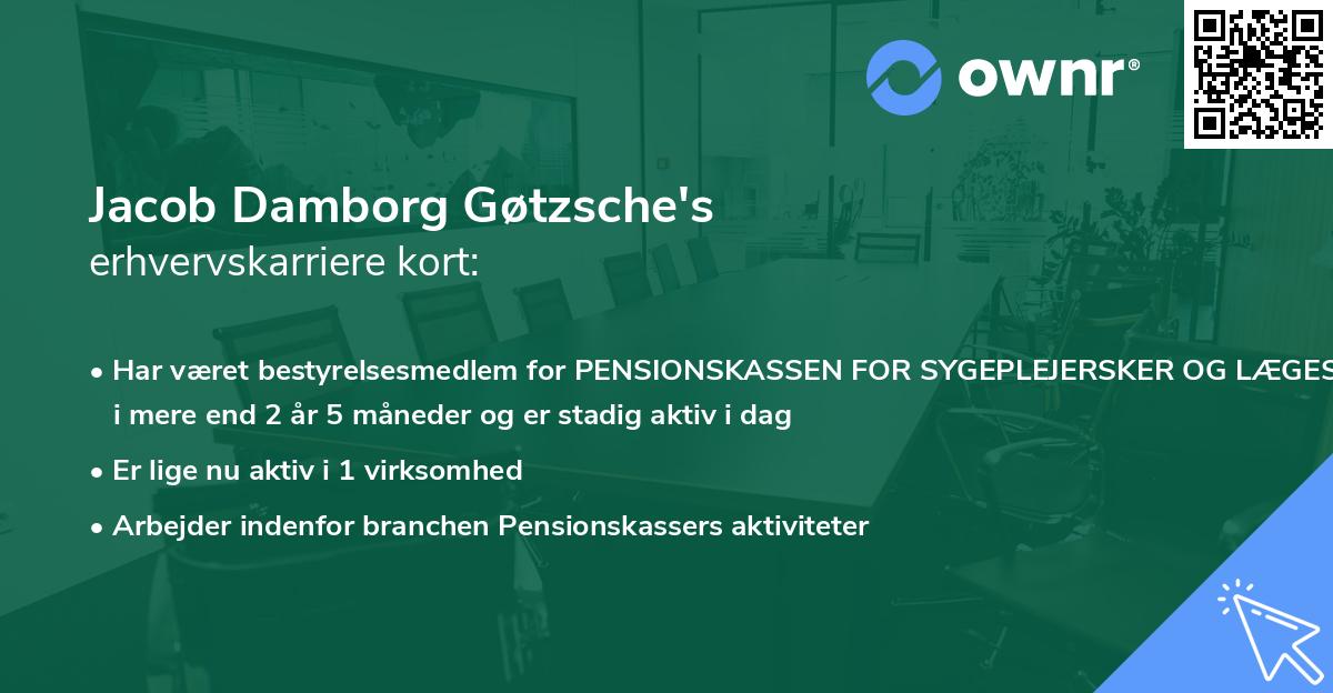 Jacob Damborg Gøtzsche's erhvervskarriere kort