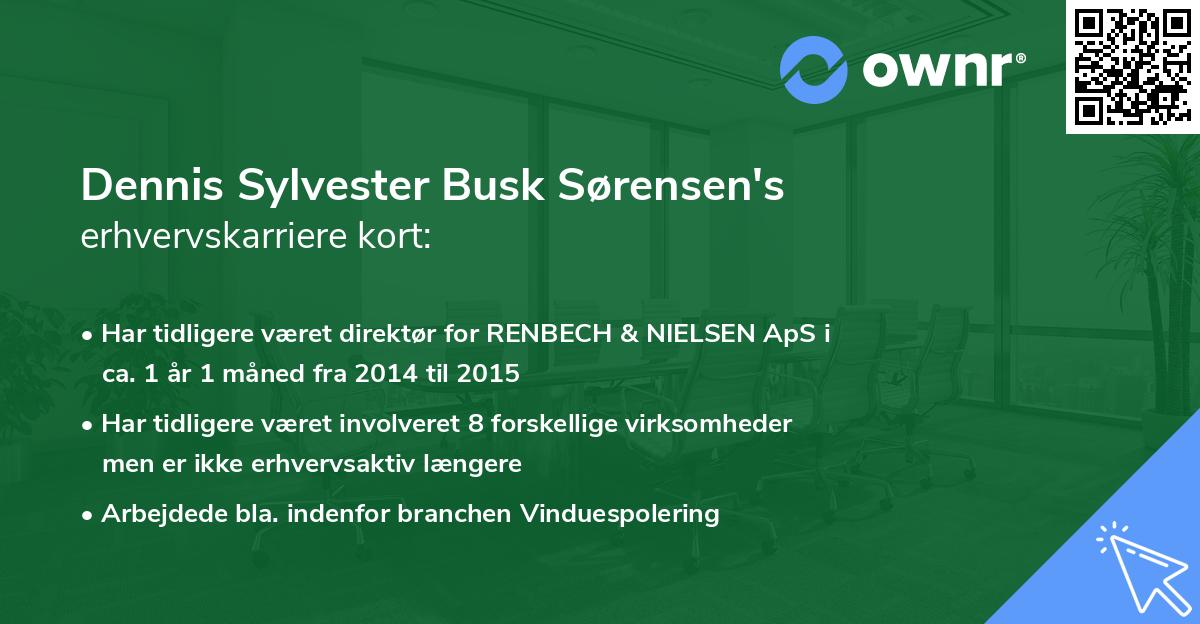 Dennis Sylvester Busk Sørensen's erhvervskarriere kort