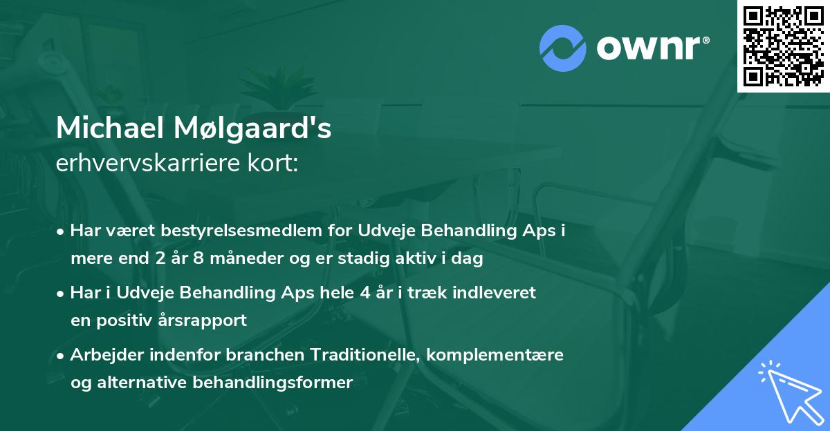 Michael Mølgaard's erhvervskarriere kort