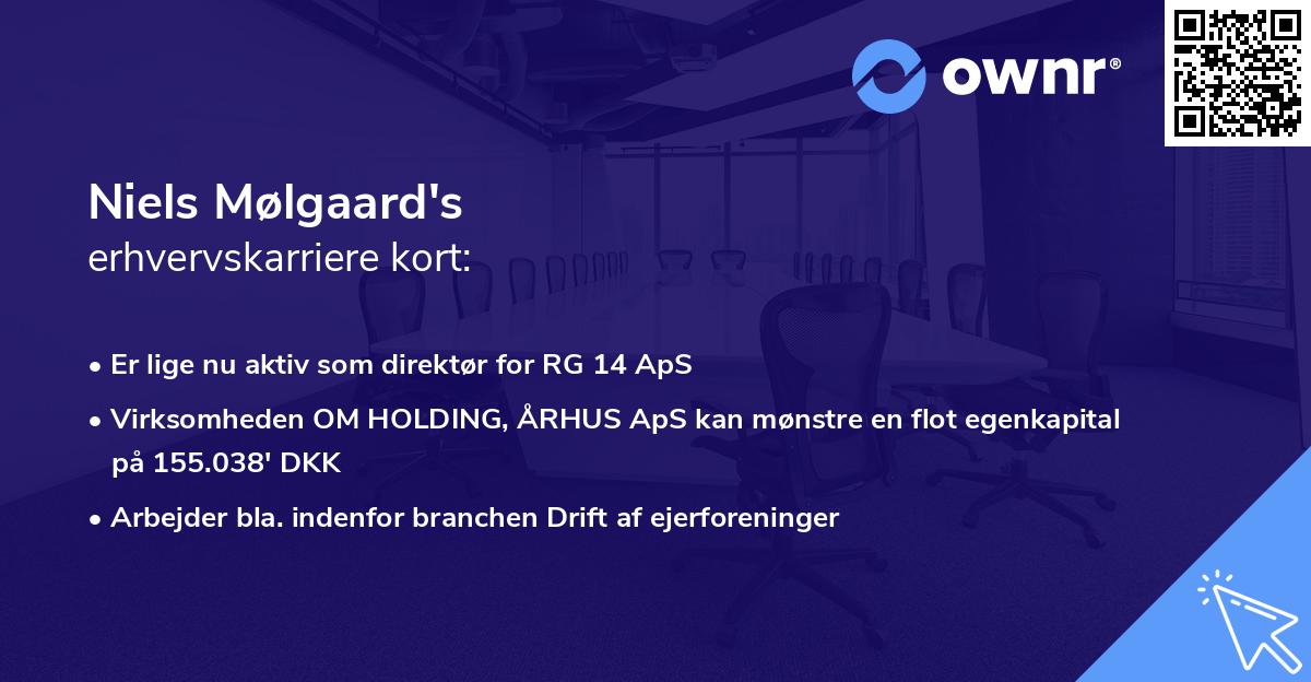 Niels Mølgaard's erhvervskarriere kort