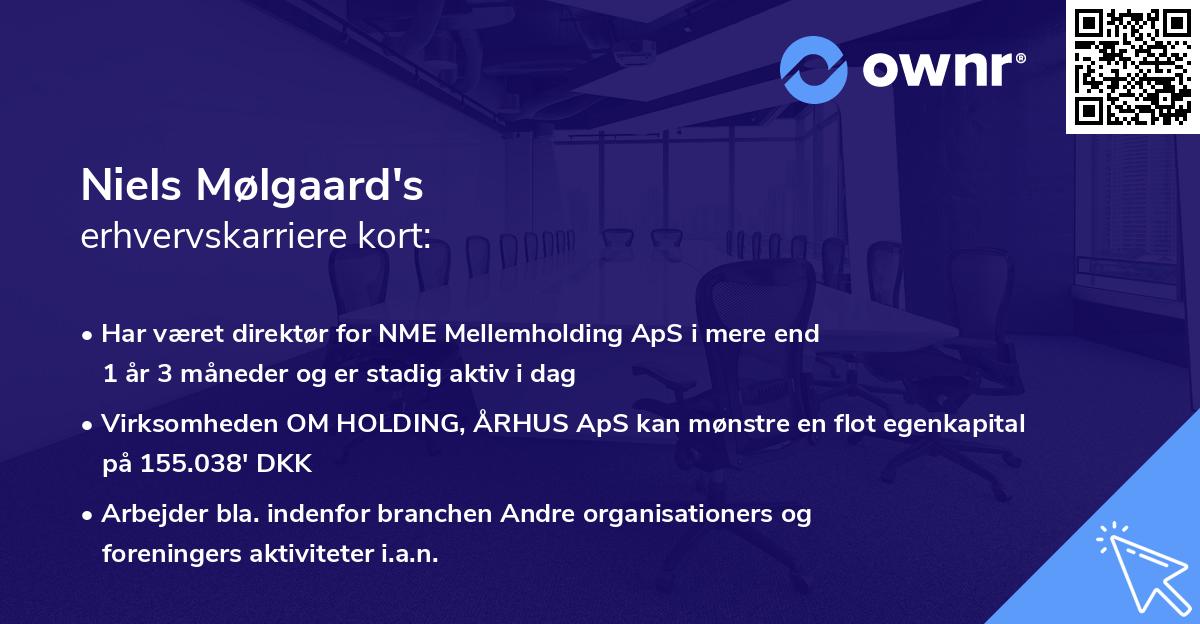 Niels Mølgaard's erhvervskarriere kort