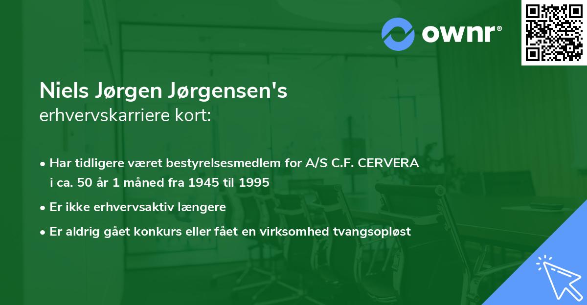 Niels Jørgen Jørgensen's erhvervskarriere kort
