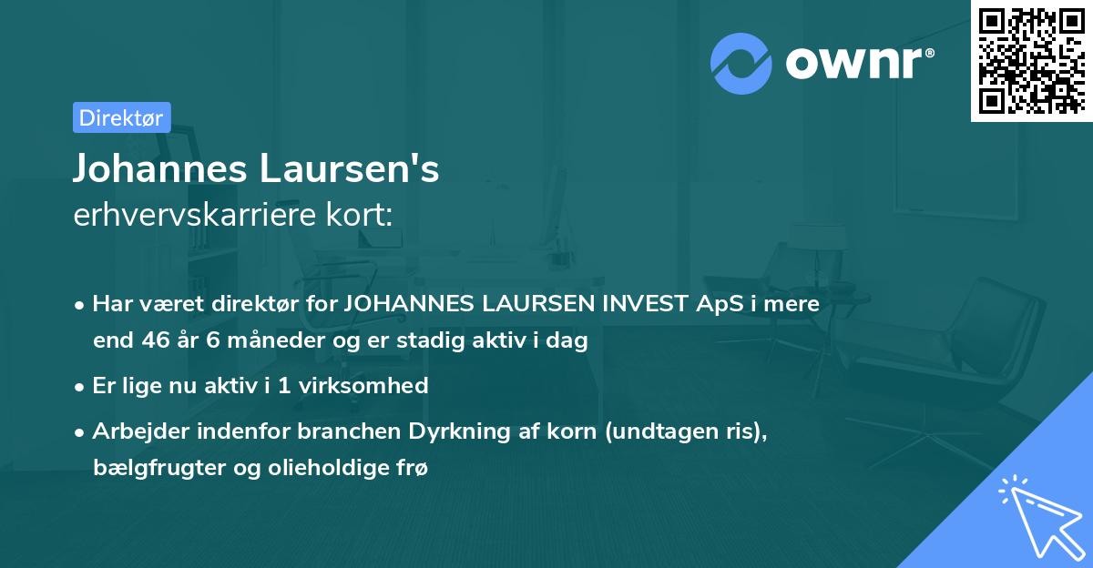 Johannes Laursen's erhvervskarriere kort