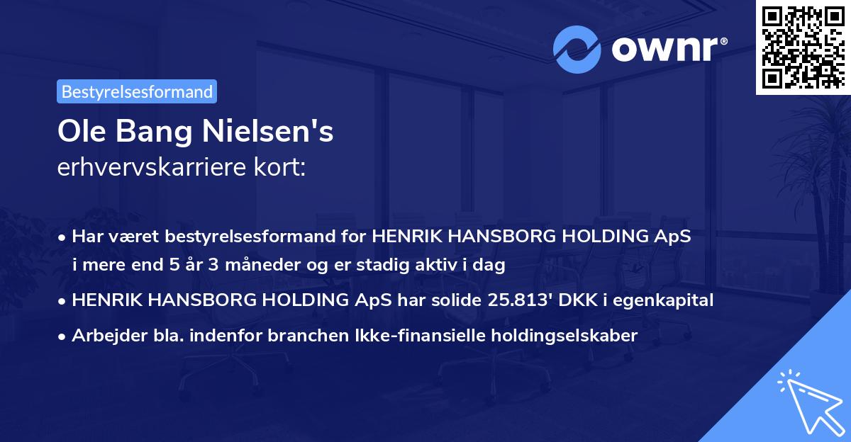 Ole Bang Nielsen's erhvervskarriere kort