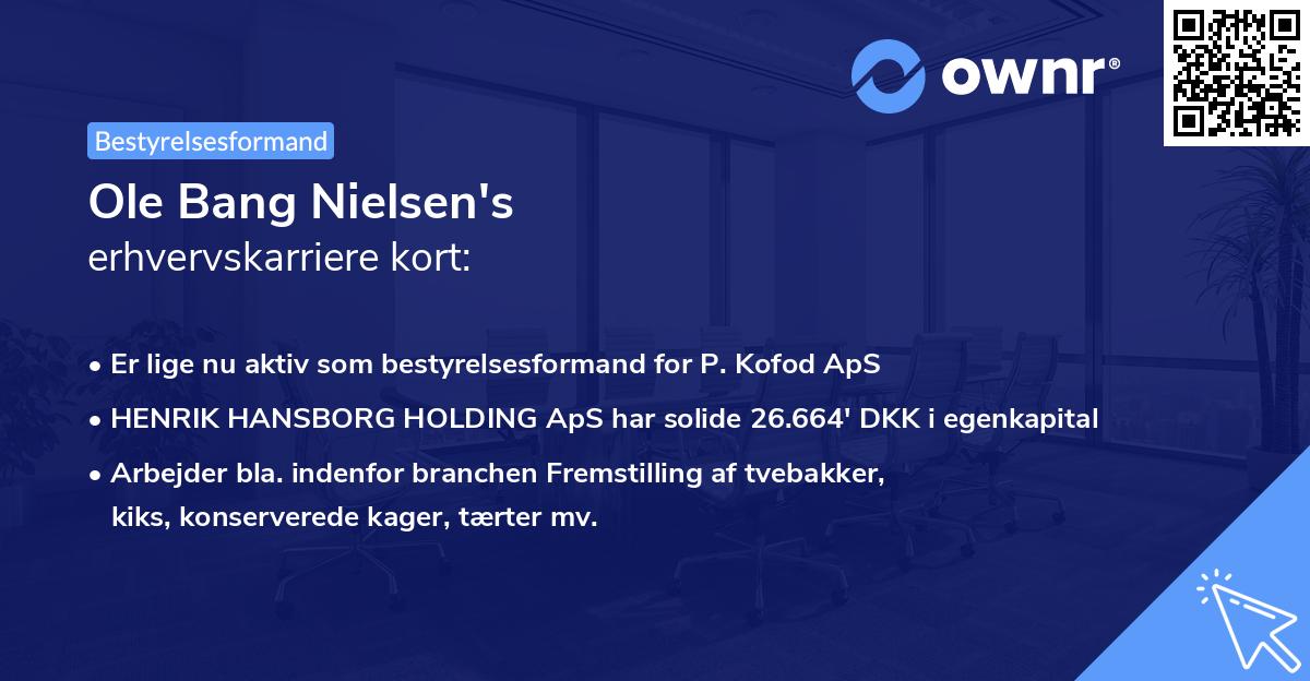 Ole Bang Nielsen's erhvervskarriere kort