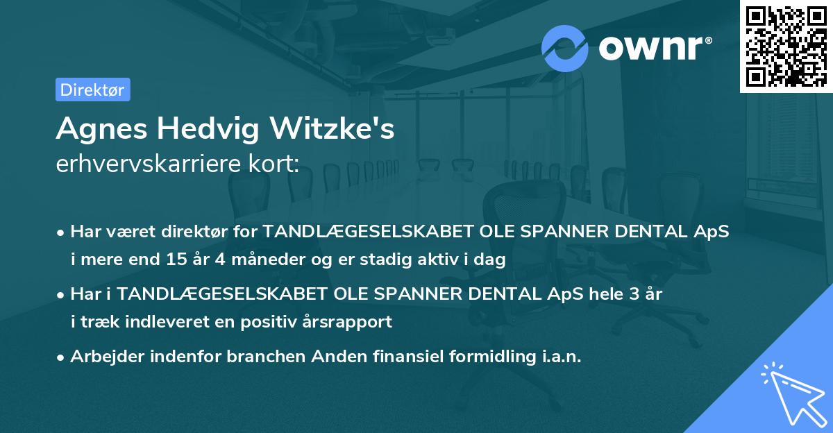 Agnes Hedvig Witzke's erhvervskarriere kort