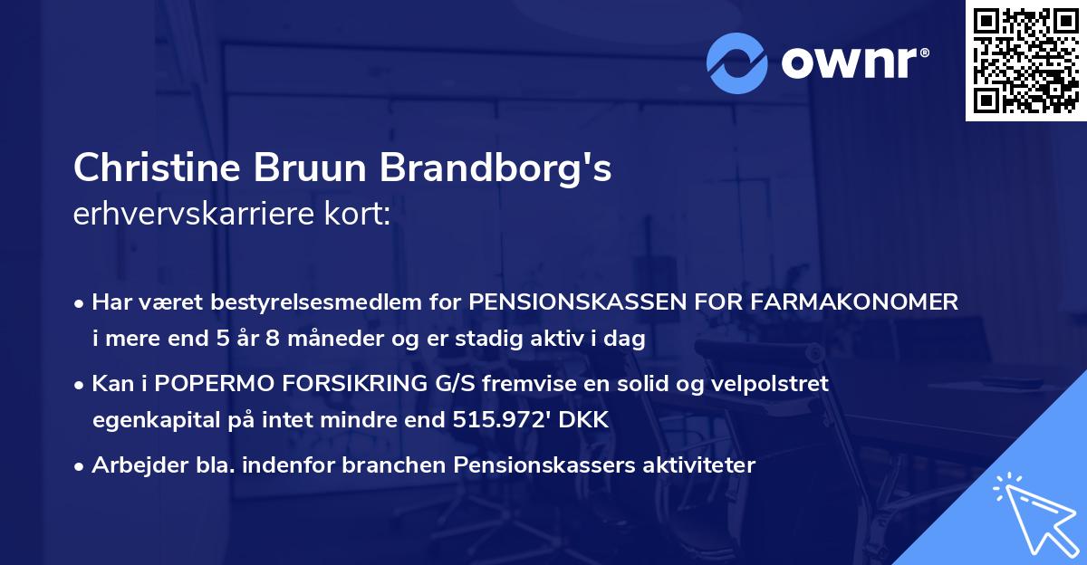 Christine Bruun Brandborg's erhvervskarriere kort