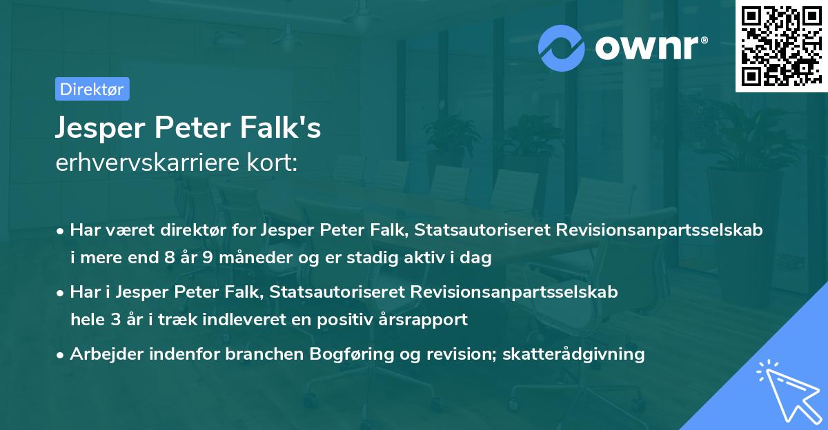 Jesper Peter Falk's erhvervskarriere kort
