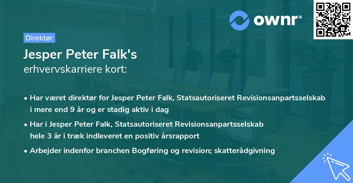 Jesper Peter Falk's erhvervskarriere kort