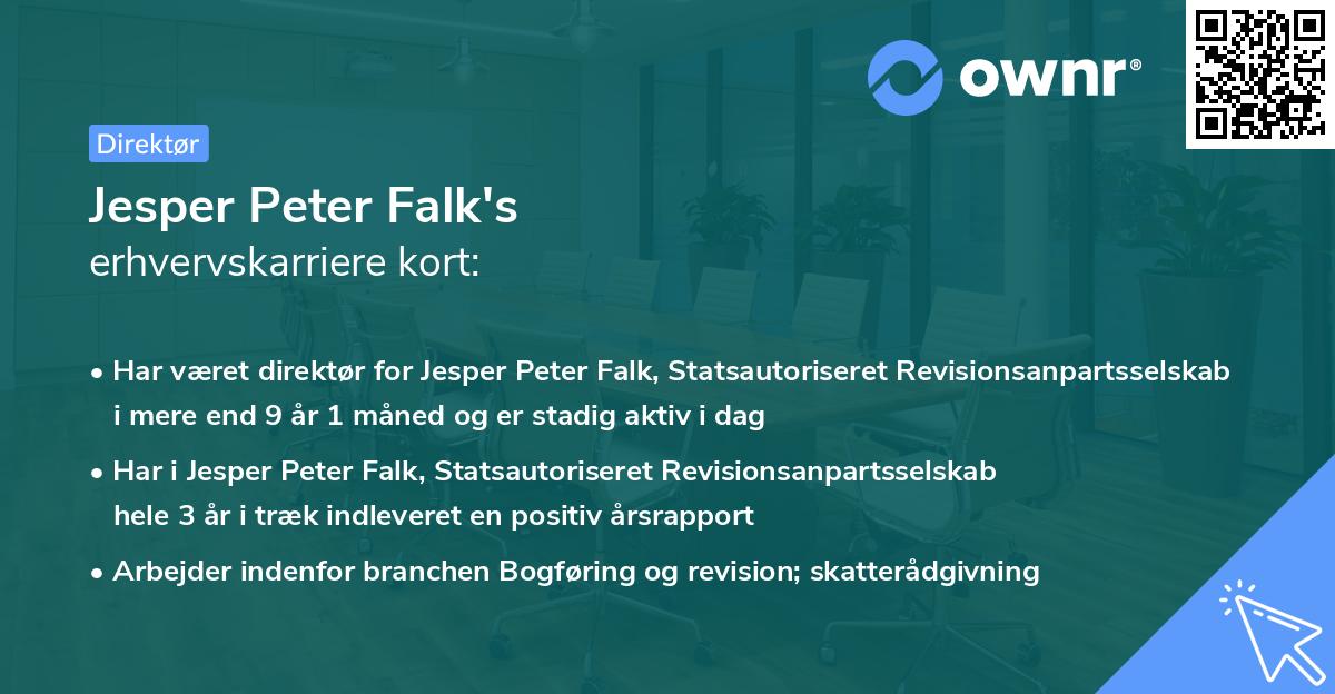 Jesper Peter Falk's erhvervskarriere kort