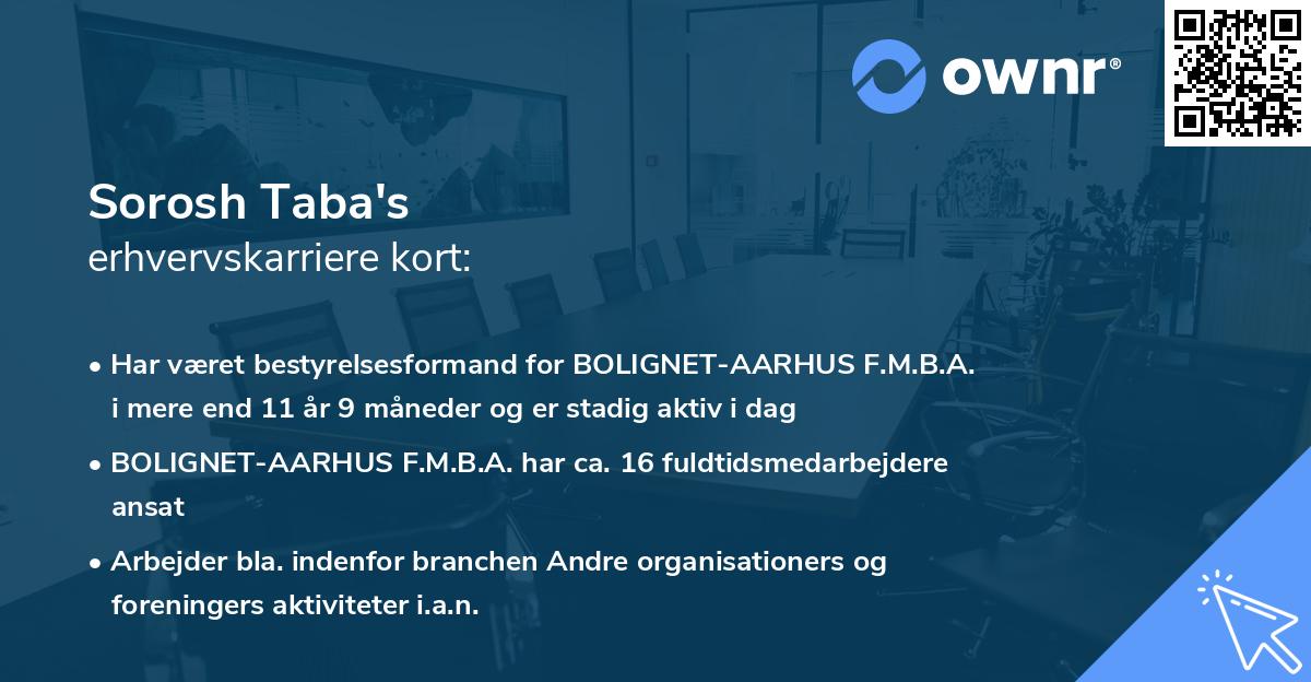 Sorosh Taba's erhvervskarriere kort