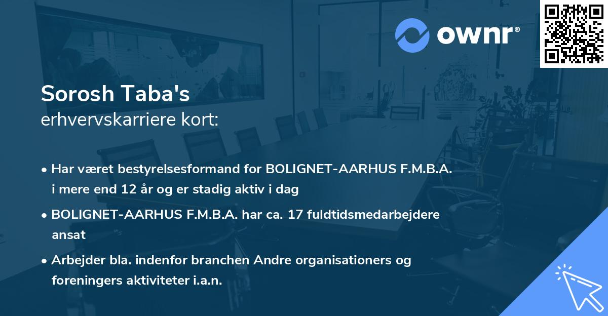 Sorosh Taba's erhvervskarriere kort