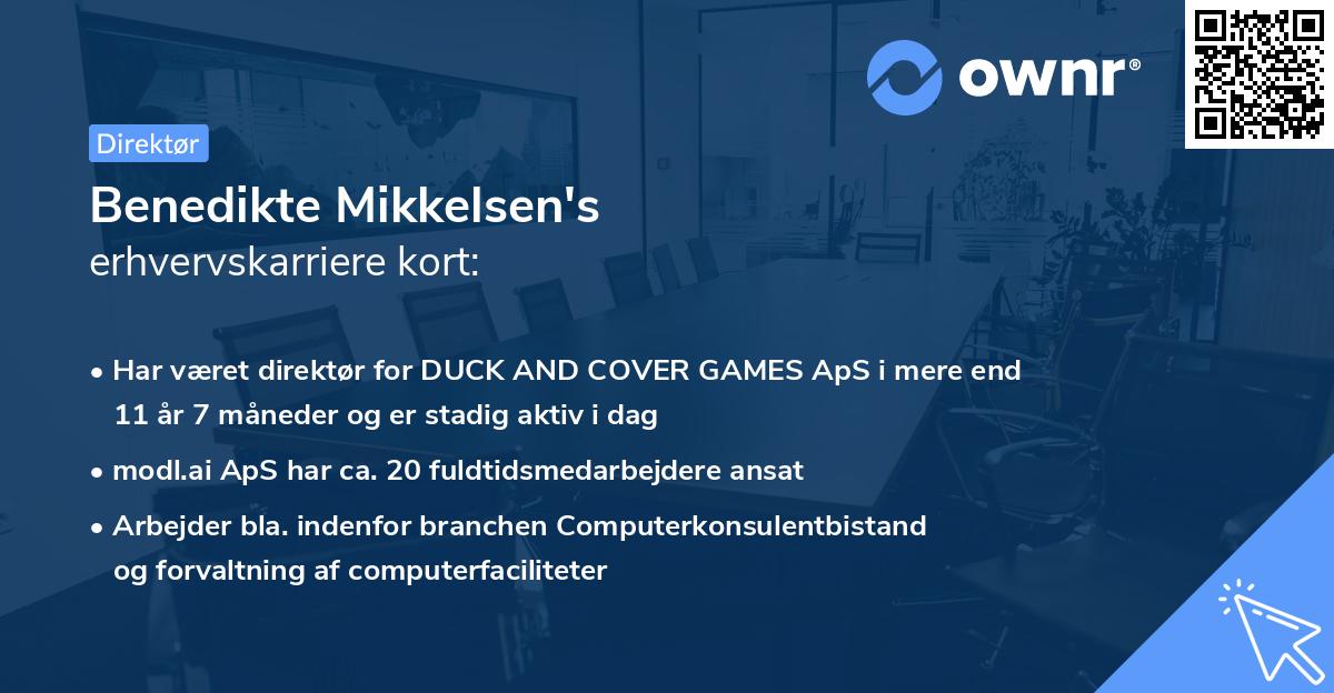 Benedikte Mikkelsen's erhvervskarriere kort