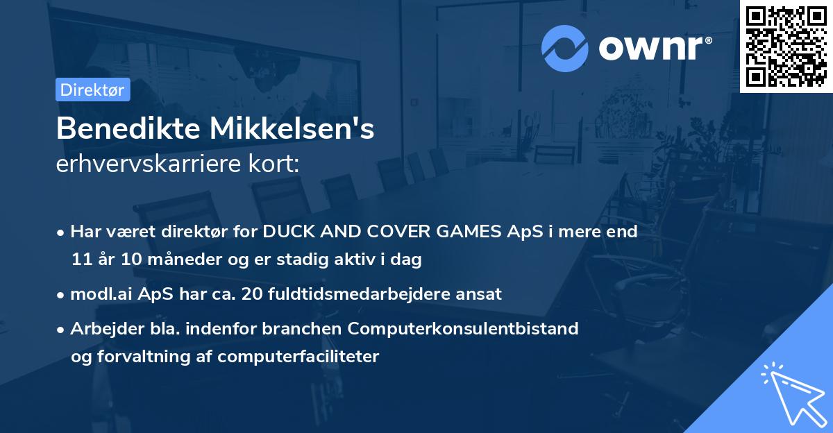 Benedikte Mikkelsen's erhvervskarriere kort