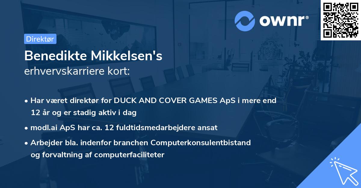 Benedikte Mikkelsen's erhvervskarriere kort