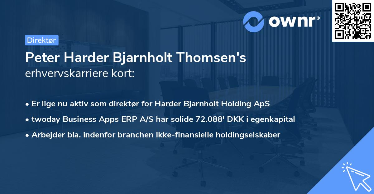 Peter Harder Bjarnholt Thomsen's erhvervskarriere kort