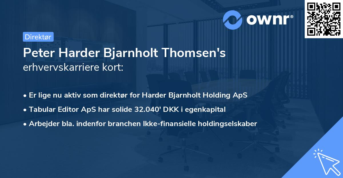 Peter Harder Bjarnholt Thomsen's erhvervskarriere kort