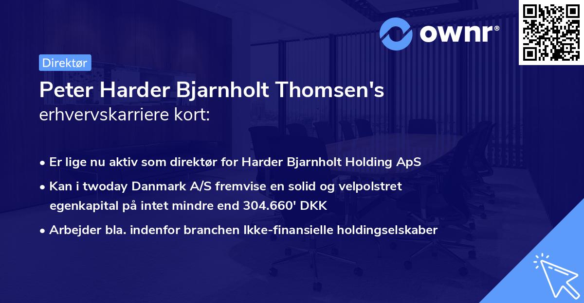 Peter Harder Bjarnholt Thomsen's erhvervskarriere kort