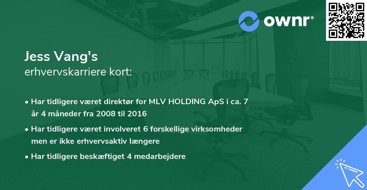 Jess Vang's erhvervskarriere kort