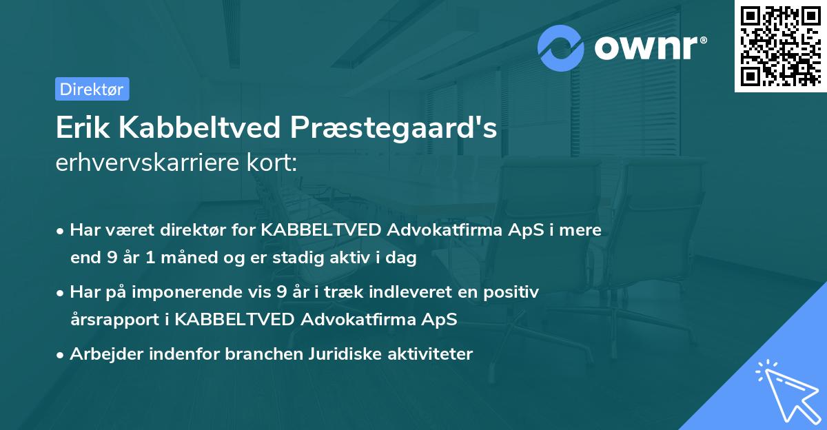 Erik Kabbeltved Præstegaard's erhvervskarriere kort
