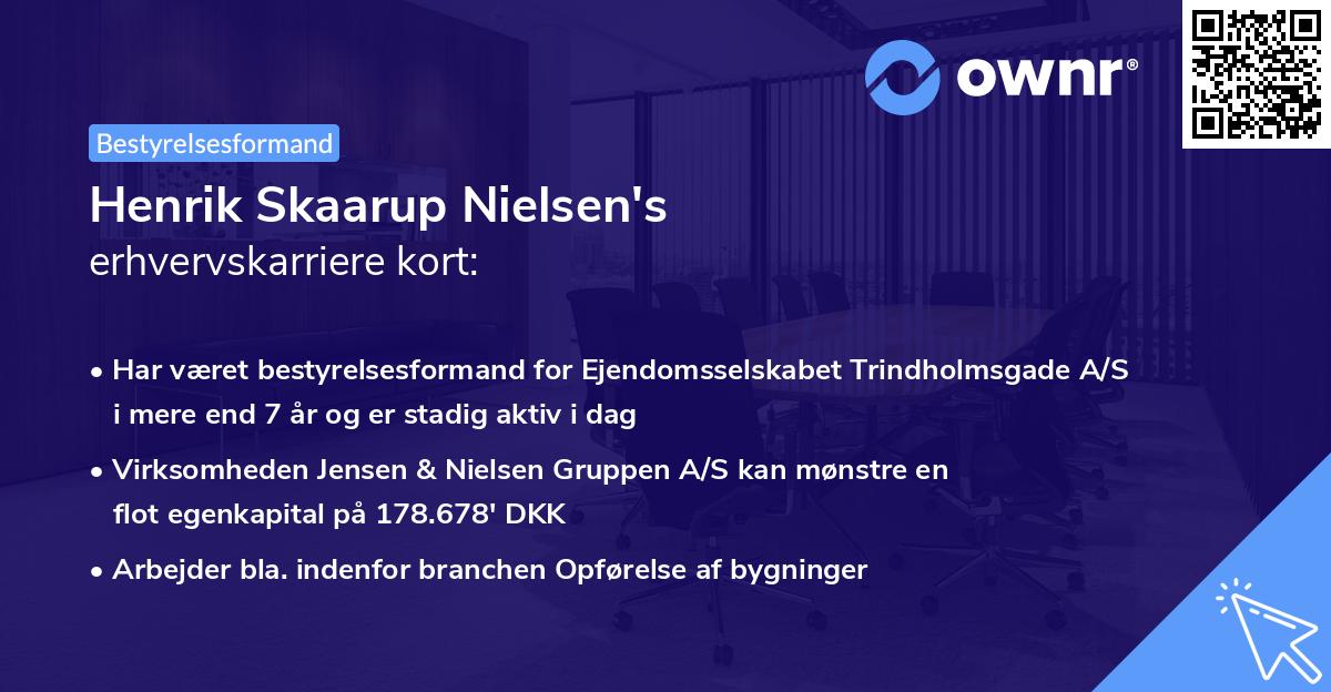 Henrik Skaarup Nielsen's erhvervskarriere kort