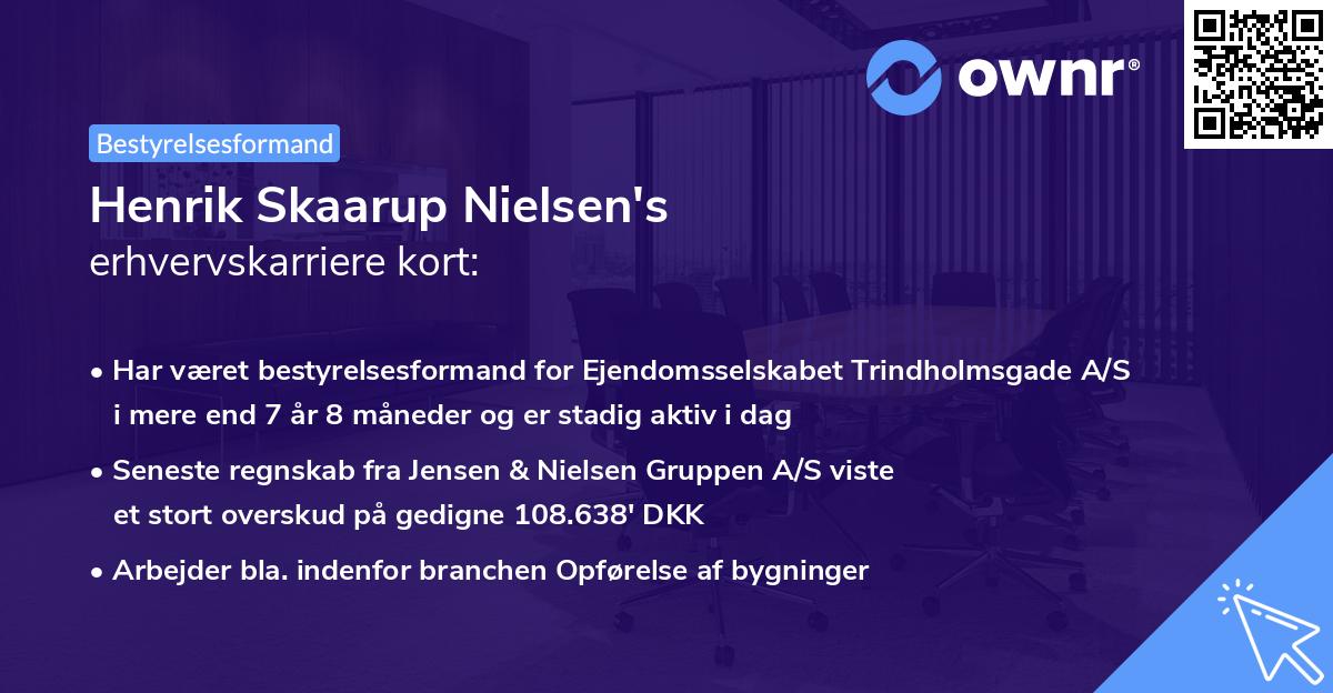 Henrik Skaarup Nielsen's erhvervskarriere kort