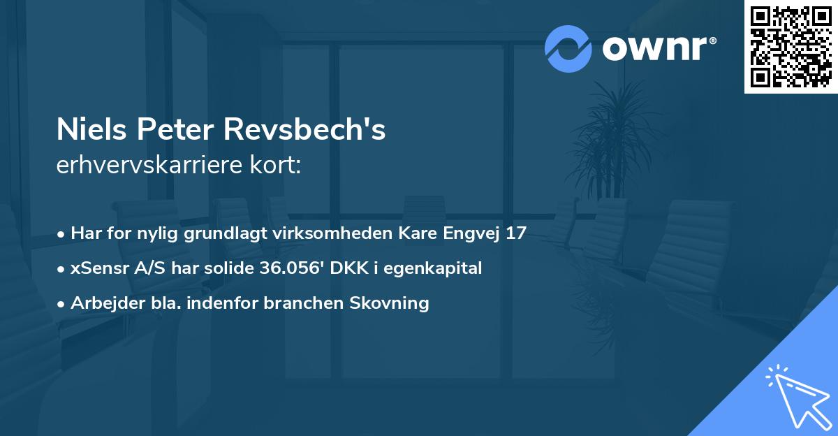 Niels Peter Revsbech's erhvervskarriere kort