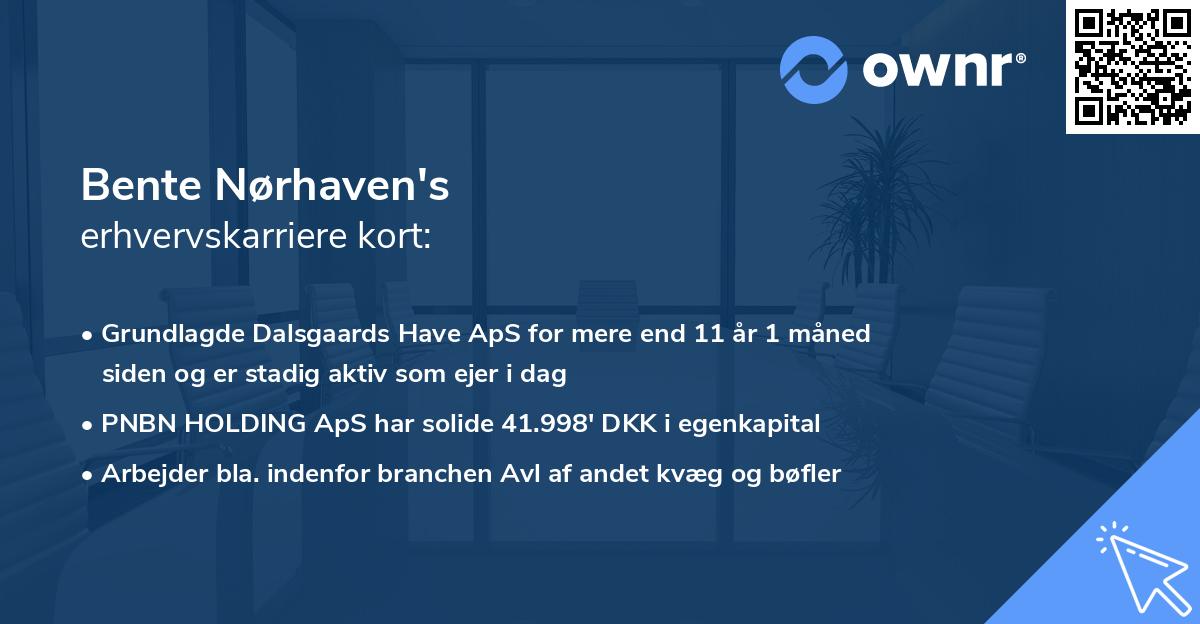 Bente Nørhaven's erhvervskarriere kort