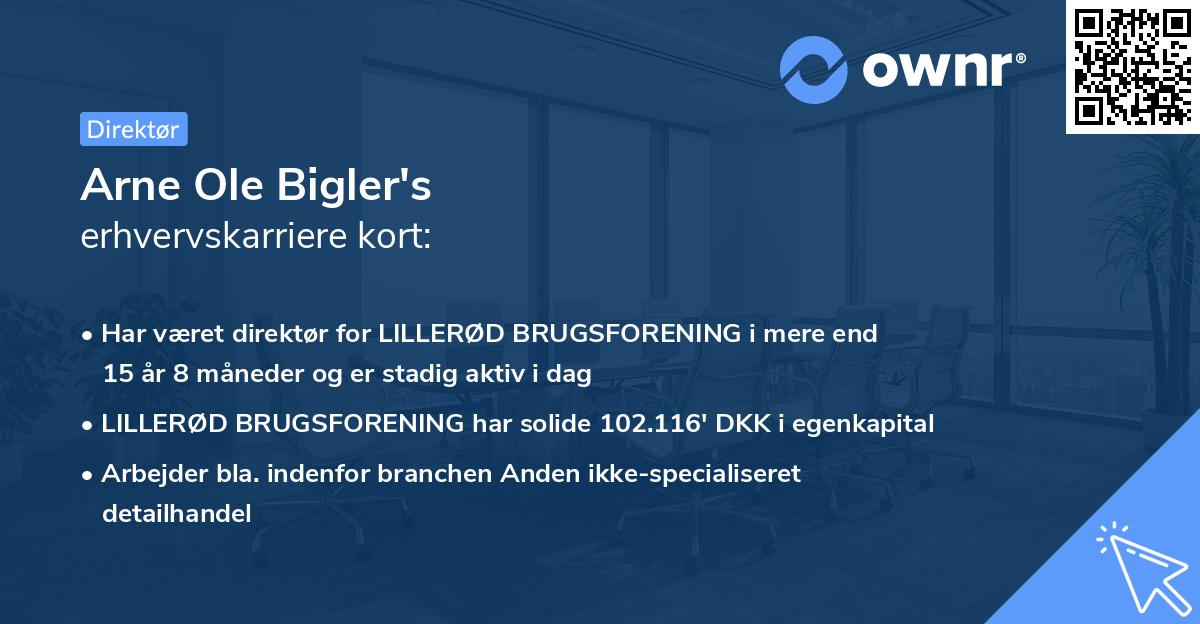 Arne Ole Bigler's erhvervskarriere kort