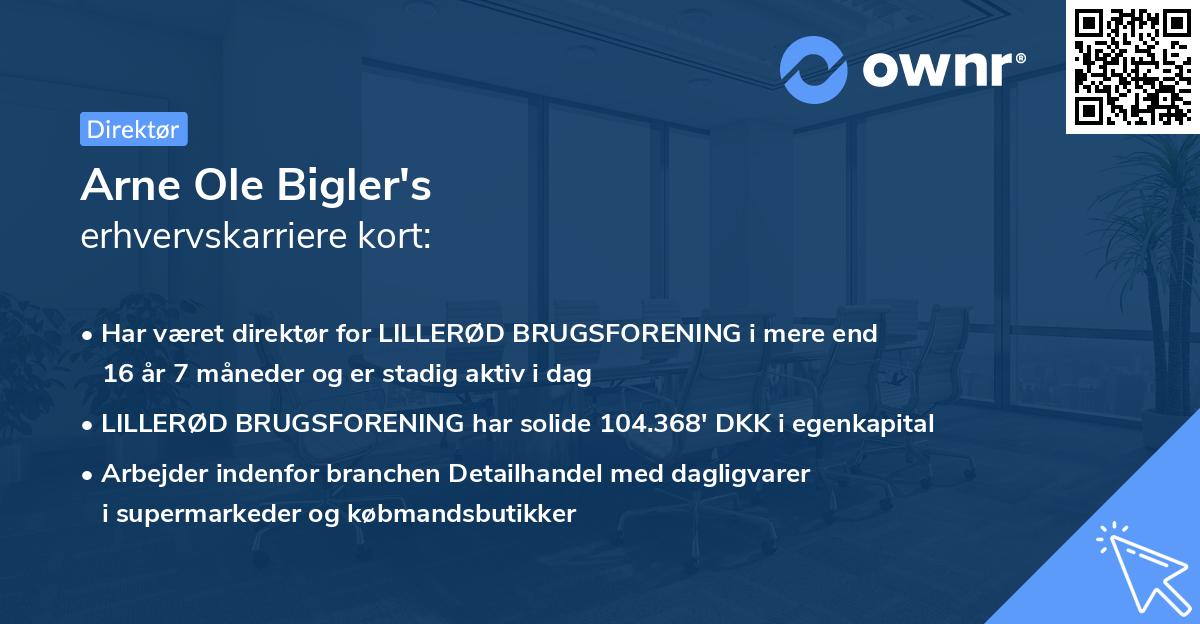 Arne Ole Bigler's erhvervskarriere kort