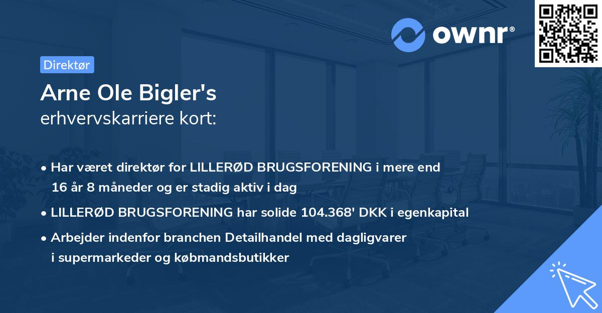 Arne Ole Bigler's erhvervskarriere kort