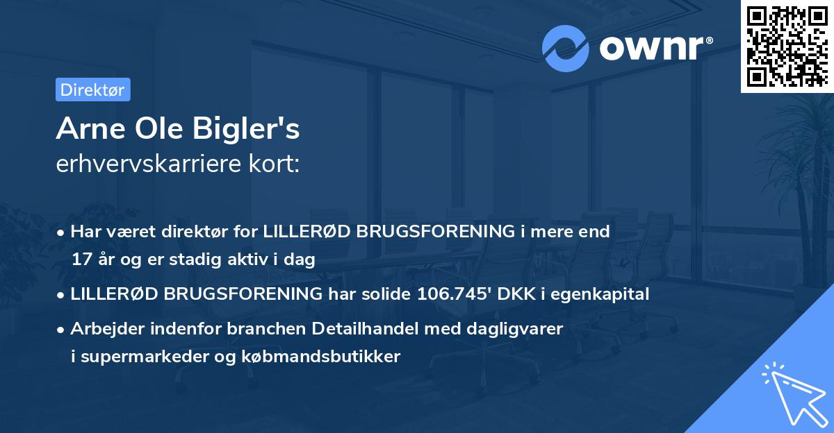 Arne Ole Bigler's erhvervskarriere kort
