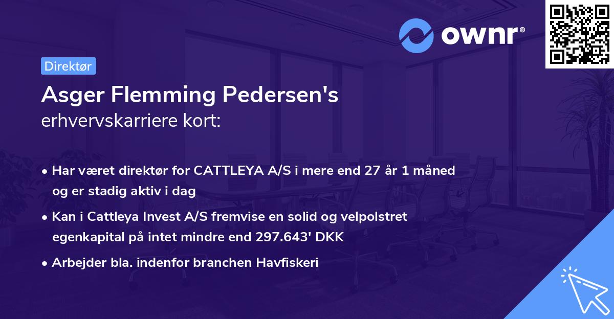 Asger Flemming Pedersen's erhvervskarriere kort
