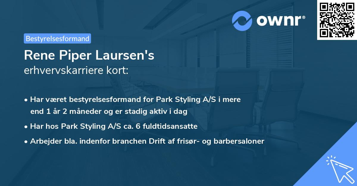 Rene Piper Laursen's erhvervskarriere kort